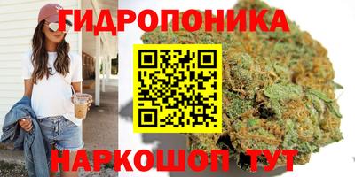 соль курить ск Кингисепп