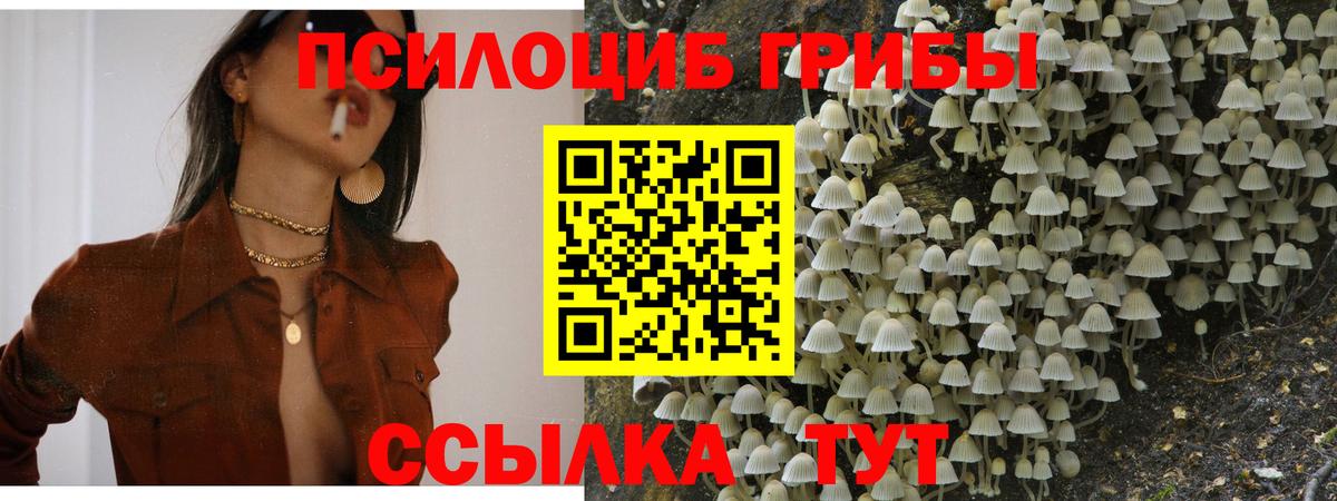 Ялуторовск  Галлюциногенные грибы мицелий  Вход с VPN 